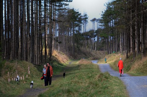 PEMBREYPARK-09-PP-web